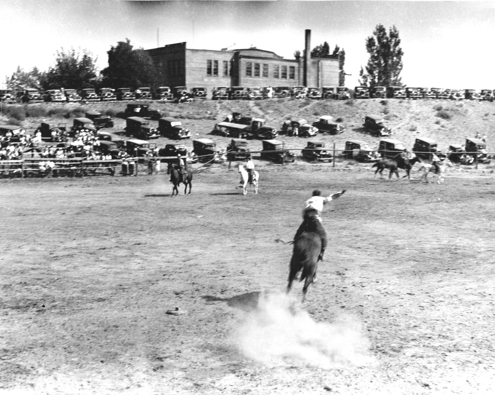 historic stampede